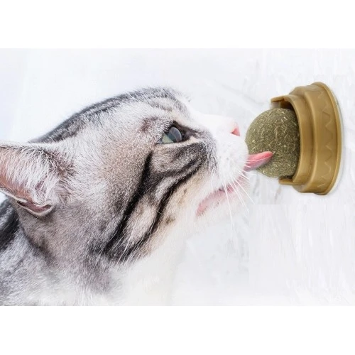 Kedi Otu Oyun Topu - Resim 4