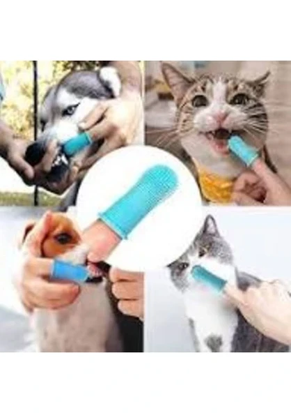 Kedi & Köpek Diş Fırçası Pratik Silikon Parmak Fırça Plak Tartar Diş Eti Bakımı ürün görseli 1