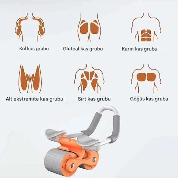 AB Roller Karın Kası Egzersiz Tekerleği - Resim 2