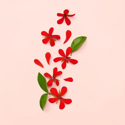 Gucci Bloom Edp 100 Ml Kadın Parfüm - Resim 4