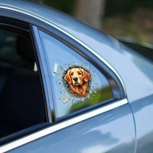 Fulcar Golden Araç Stickerı - Resim 5