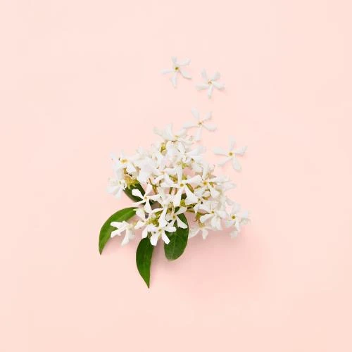 Gucci Bloom Edp 100 Ml Kadın Parfüm - Resim 6