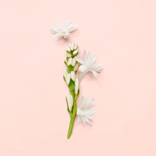 Gucci Bloom Edp 100 Ml Kadın Parfüm - Resim 5