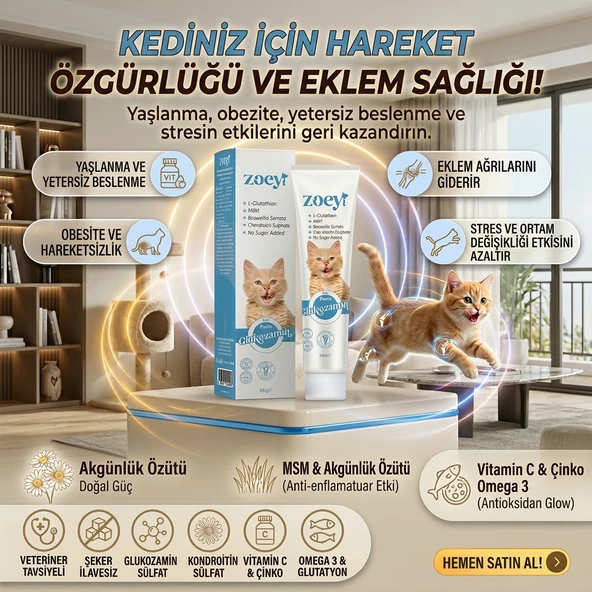 Zoey Glukozamin Kedi Malt Paste - Eklem ve Hareket Destekleyici Şekersiz Vitamin Takviyesi ürün görseli 1