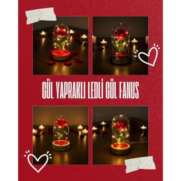 Gül Yapraklı Ledli Gül Fanus - Resim 4
