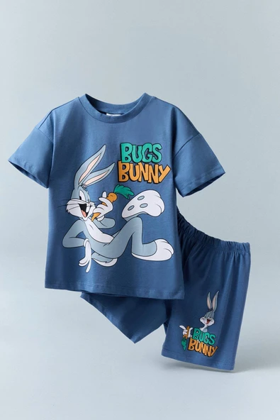 Defacto E7693 Mavi Erkek Bebek Looney Tunes 2'li Takım Kısa Kollu Tişört Şort ürün görseli 1