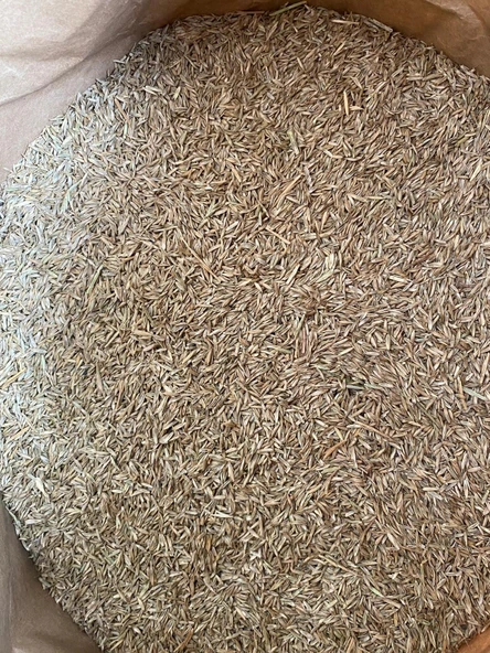 Çim Tohumu Yerli  6 Karışım  1 Kg ürün görseli 1