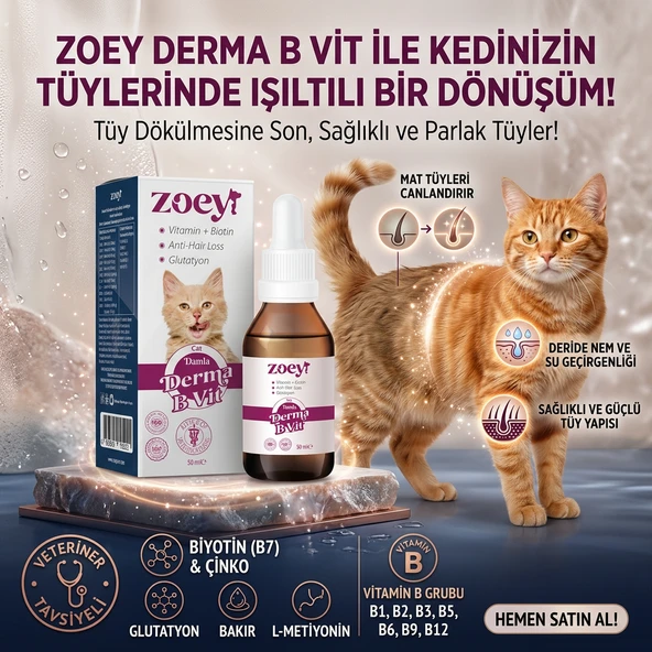 Zoey Derma B Vit Kedi Tüy Bakım Damlası - Çinkolu ve B Vitaminli Tüy Dökülme Karşıtı ürün görseli 1