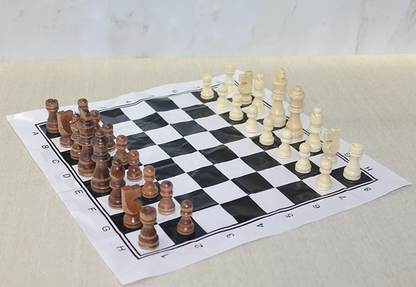 Ahşap Satranç Taşı 10 Cm ürün görseli 1