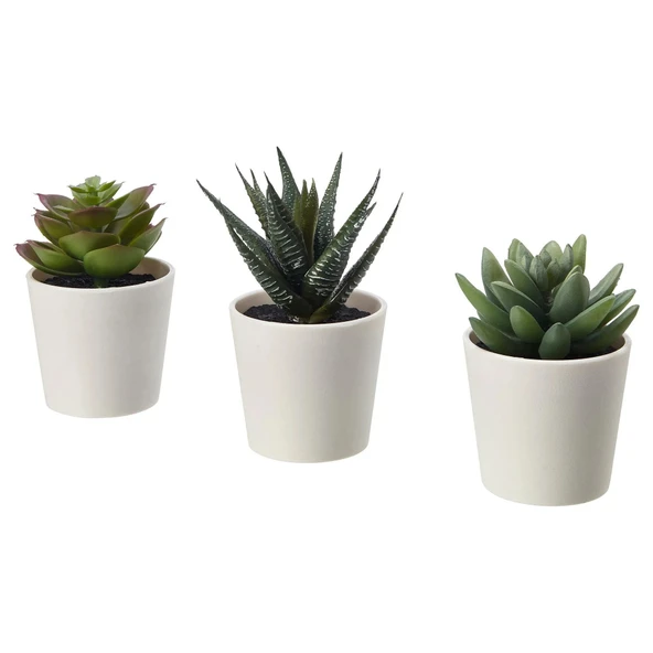 FEJKA saksılı yapay bitki, yeşil, 6 cm, 3 adet, kaktüs ürün görseli 1