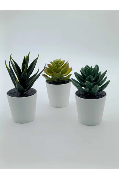 FEJKA saksılı yapay bitki, koyu-açık yeşil, 6 cm, 3 adet, kaktüs ürün görseli 1