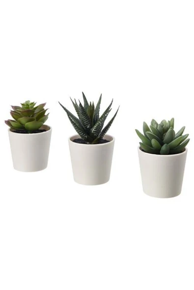 FEJKA saksılı yapay bitki, yeşil, 6 cm, 3 adet, kaktüs ürün görseli 1