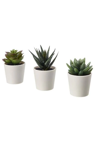FEJKA saksılı yapay bitki, yeşil, 6 cm, 3 adet, kaktüs ürün görseli 1