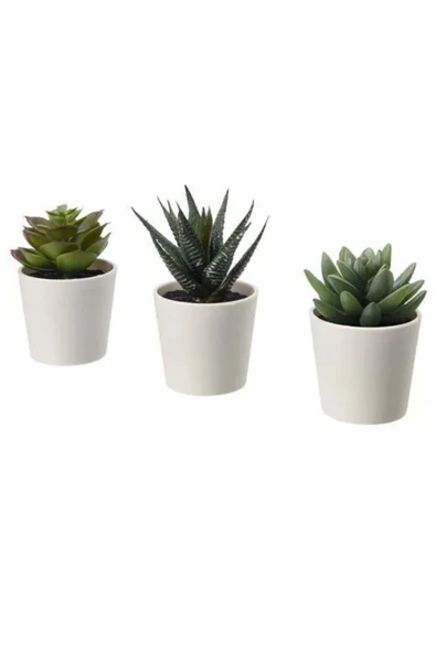 IKEA FEJKA saksılı yapay bitki, yeşil, 6 cm, 3 adet, kaktüs ürün görseli 1