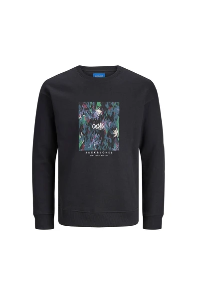 JACK&JONES Jorsılverlake Sweat Crew Neck Ln ürün görseli 1