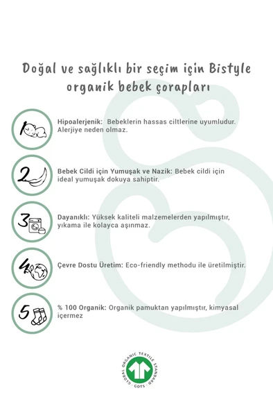 5'li Penye Soket Kutulu Basic Çorap 10131 Ekru - Resim 5