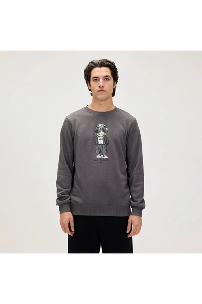 24.02.12.019 Gator Crewneck Erkek Sweatshirt Asphlat ürün görseli 1