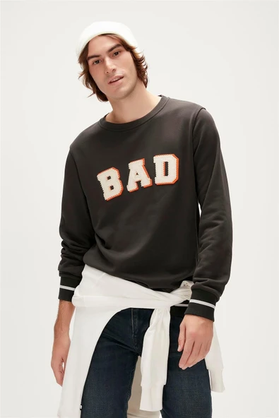 Felt Crewneck Erkek Sweatshirt ürün görseli 1