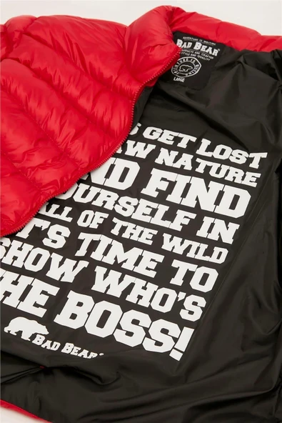 Boss Puffer Erkek Mont - Resim 6