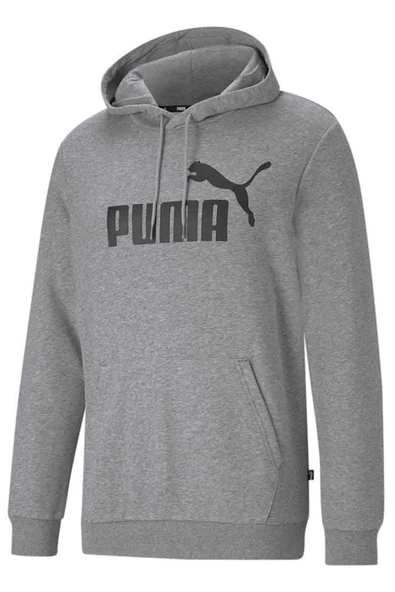 586688 ESS Big Logo Hoodie Erkek Kapüşonlu Sweatshirt GRİ ürün görseli 1