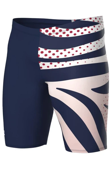 Arena MULTI STRIPES ERKEK YÜZÜCÜ MAYOSU 007236710 - Resim 3