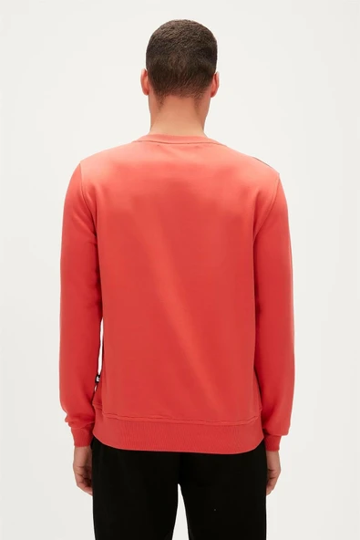 Bad Bear Logo Crewneck Erkek Sweatshirt - Resim 5