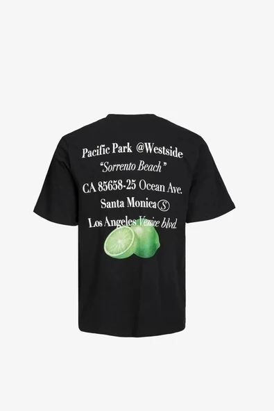 JACK&JONES Jorgrocery Tee Ss Crew Neck - Resim 8
