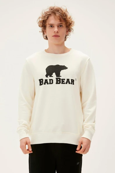 Logo Erkek Sweatshirt 22.02.12.007 ürün görseli 1