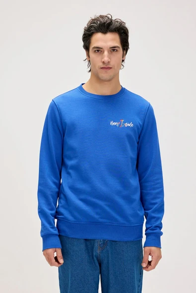 Splashy Erkek Sweatshirt 24.02.12.022-C141 ürün görseli 1