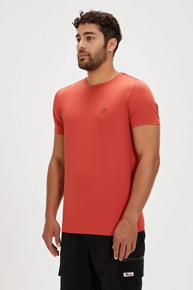 FRANK POLYESTER ERKEK TİŞÖRT 24.01.07.009 - Resim 2