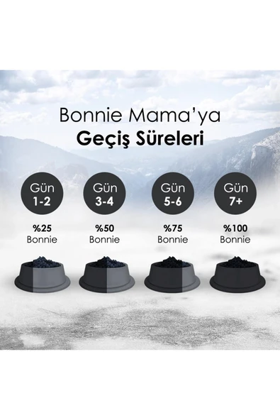 Basic Biftekli Yetişkin Kedi Maması 10 Kg - Resim 4