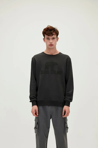 Crewneck Erkek Lacivert Baskılı Sweatshirt ürün görseli 1