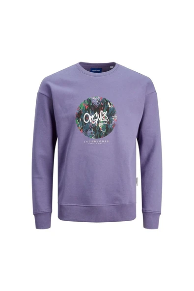 Jack & Jones Erkek Bisiklet Yaka Sweatshirt 12242366 ürün görseli 1