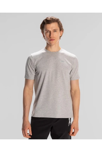 Logo Serenity Erkek Gri Regular Fit Tişört ürün görseli 1