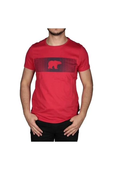 20.01.07.024-c54 Fancy Erkek T-shirt ürün görseli 1