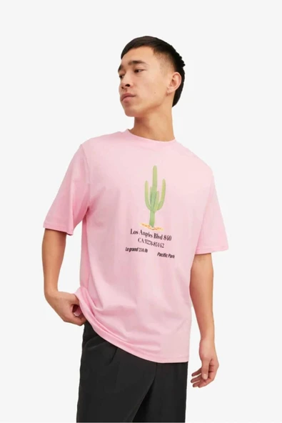 JACK&JONES Jorgrocery Tee Ss Crew Neck ürün görseli 1