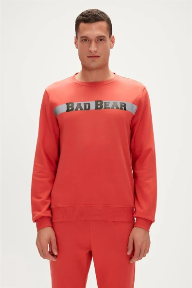 23.02.12.021-c109 Reflect Bear Erkek Sweatshirt ürün görseli 1