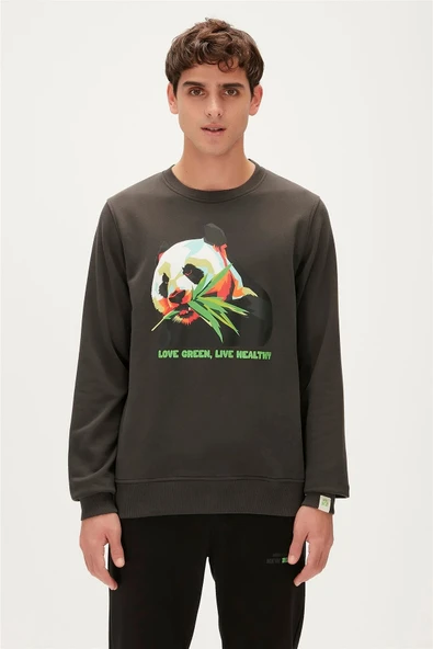 Bad Bear Re-bamboo Crewneck Antrasit Baskılı Erkek Sweatshirt ürün görseli 1