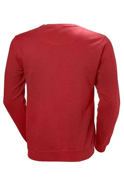 Helly Hansen LOGO CREW SWEAT - Resim 2