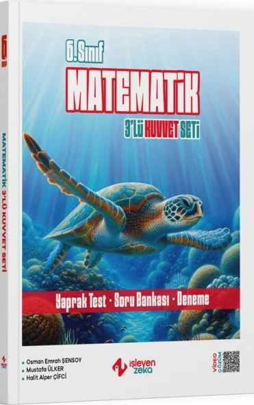 6. Sınıf Matematik 3 lü Kuvvet Serisi Seti İşleyen Zeka ürün görseli 1