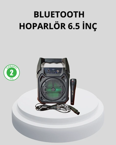 Taşınabilir Bluetooth Hoparlör - FM Radyo, USB, SD Kart ve TWS Özellikli ürün görseli 1