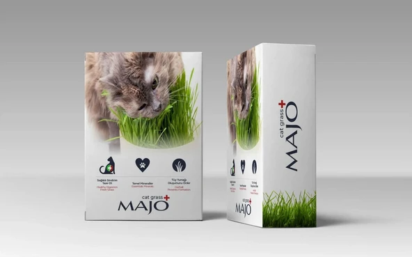 Üç Kullanımlık Naturel Kedi Çimi Yedek lu ürün görseli 1