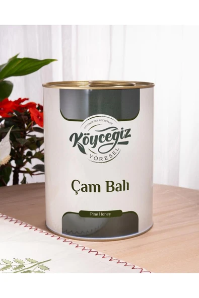 Kb Köyceğiz Yöresel Çam Balı 4850 G Teneke ürün görseli 1