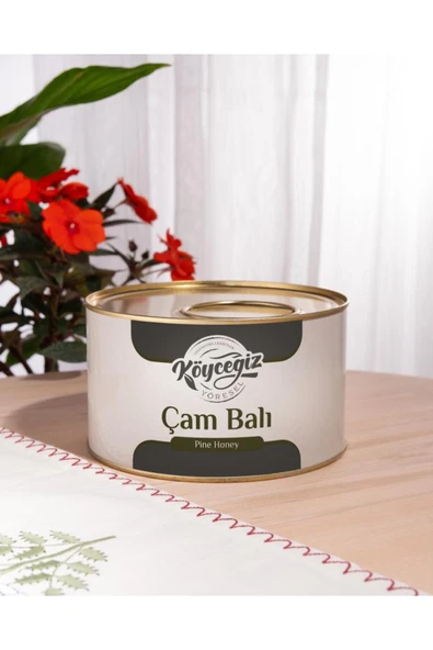 Kb Köyceğiz Yöresel Çam Balı 1850 G Teneke ürün görseli 1