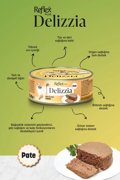 REFLEX PLUS DELİZZİA KIYILMIŞ HİNDİLİ MAMA 85 GR - Resim 2