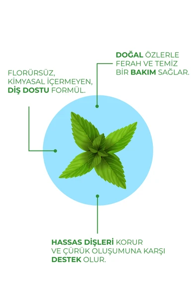 AGARTA BİTKİSEL TAM KORUMA DİŞ MACUNU NANE 100 ML - Resim 4