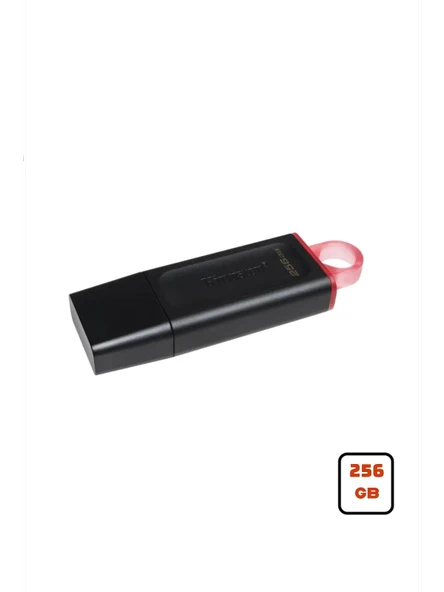 Kingston DataTraveler Exodia 256GB USB Flash Bellek USB3.2 Gen1 DTX/256 GB ürün görseli 1