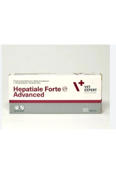 Hepatiale Forte Destekleyici ürün görseli 1