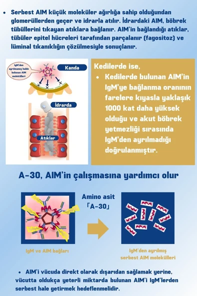 AIM30 Supplement - Resim 4