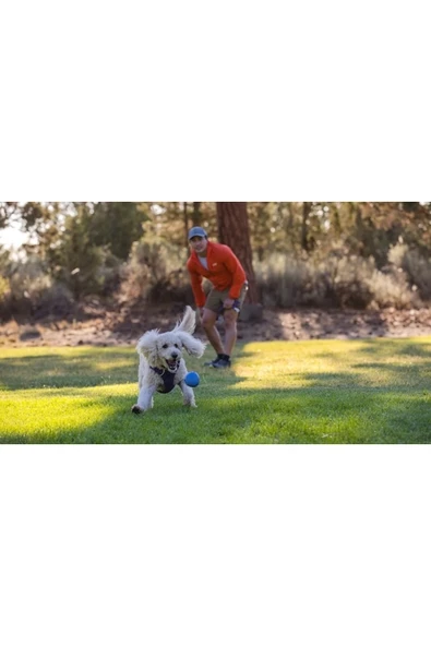 Ruffwear Huckama Sağlam Köpek Oyuncağı - Resim 3